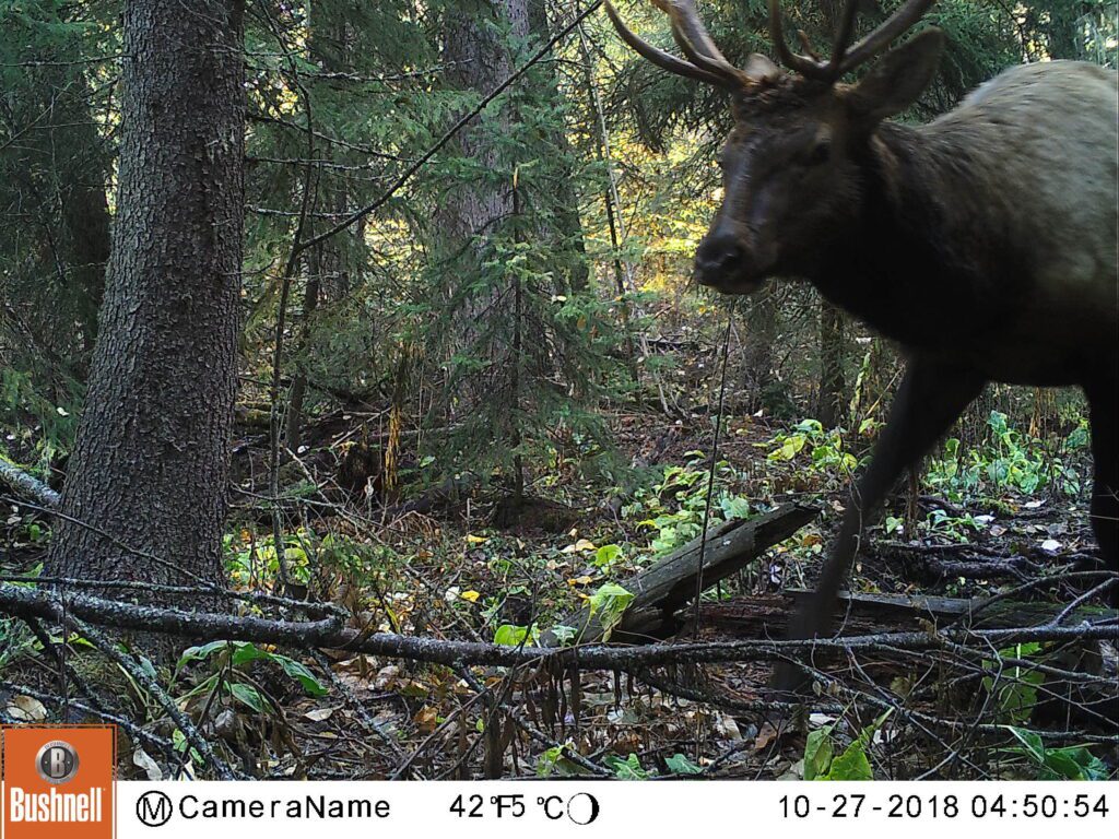 M2E56L67-67R405B346 Whitefish Lake Institute