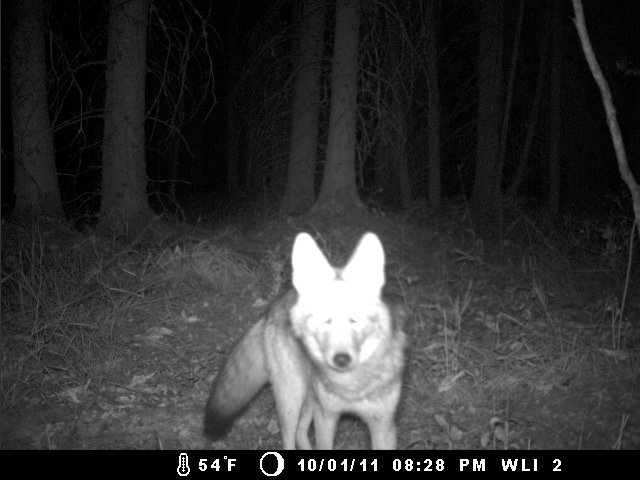 DGC0028 Whitefish Lake Institute