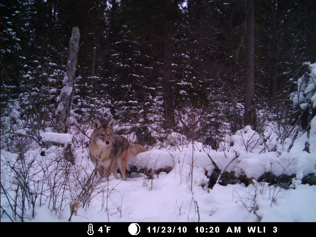 DGC0038 Whitefish Lake Institute