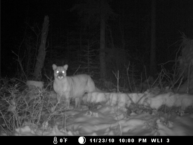 DGC0039 Whitefish Lake Institute