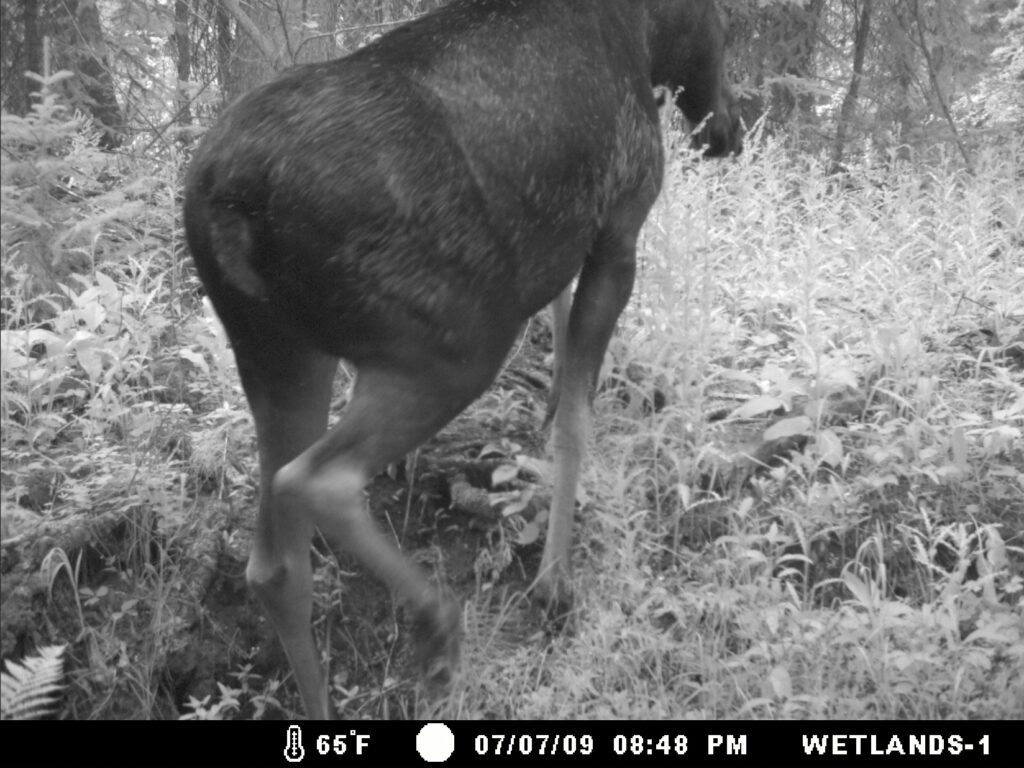 MDGC0002 Whitefish Lake Institute