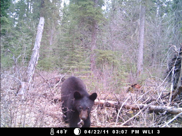 MGC0029 Whitefish Lake Institute