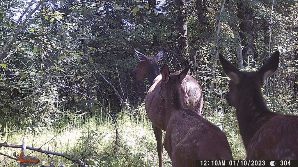 WGI_0304 Whitefish Lake Institute