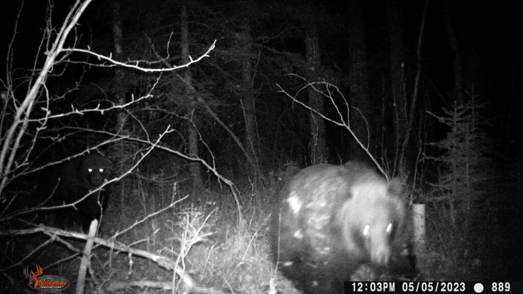 WGI_0889 Whitefish Lake Institute